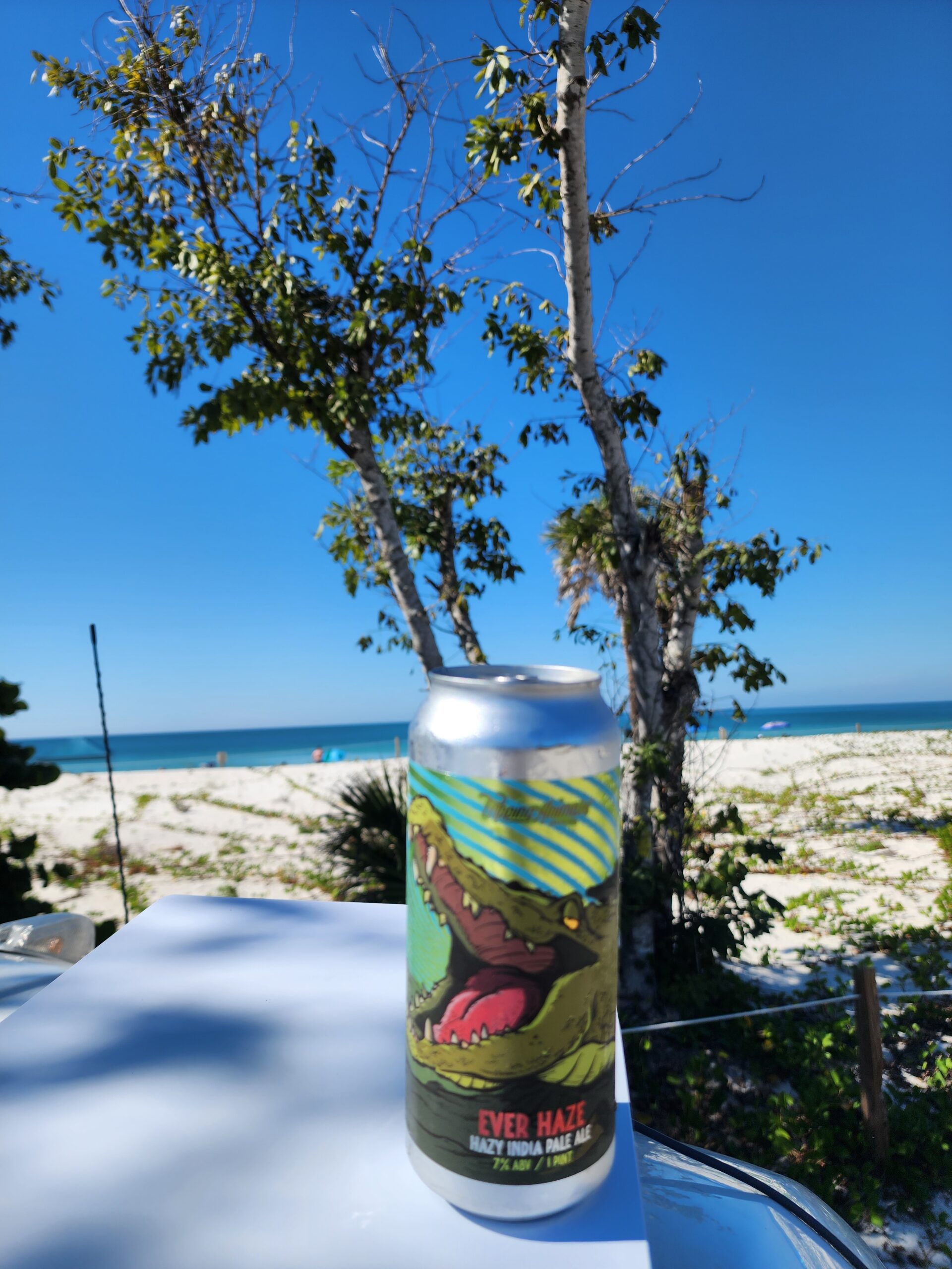 Unforgettable Florida Trip: Beaches, EPCOT & Everglades